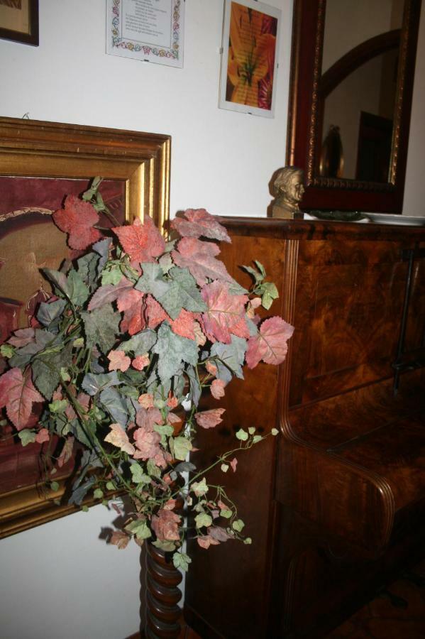 Morianese Gasthof Lucca